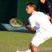 Berankis goes down fighting