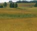 In pictures: rural Lithuanian summer