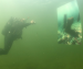Lithuania’s first underwater photo gallery