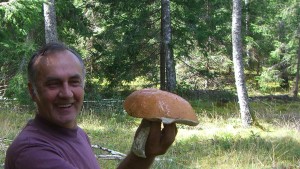 One of my companions found a massive one on our last venture into the forest. Photo by Adam Mullett.