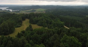 Wood processing is Latvia’s most important export industry, comprising 22 percent of export turnover and five percent of country's GDP. Photo by Juris Neikens.