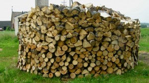 A pile of wood outside Antanina's house. Many rural Lithuanian homes are heated by wood burning. Photo by Laima Vincė.