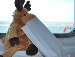 Vello's pet moose didn't enjoy the cruise, either.