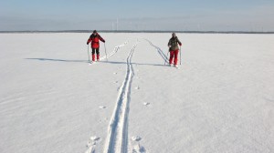 This is the best winter weather for cross-country skiing in years in Estonia.