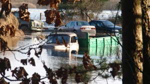 The cars in this parking lot in Jurbarkas, in western Lithuania, are submerged and ruined by floodwater. 